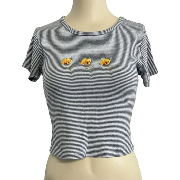 Brandy Melville Embroidered Striped Cropped T Shirt - Picture 1 of 5